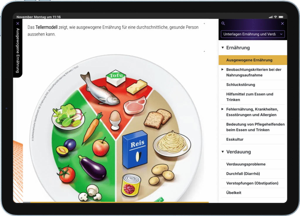 Goldstück – Scaling Nursing Education in the Digital Age