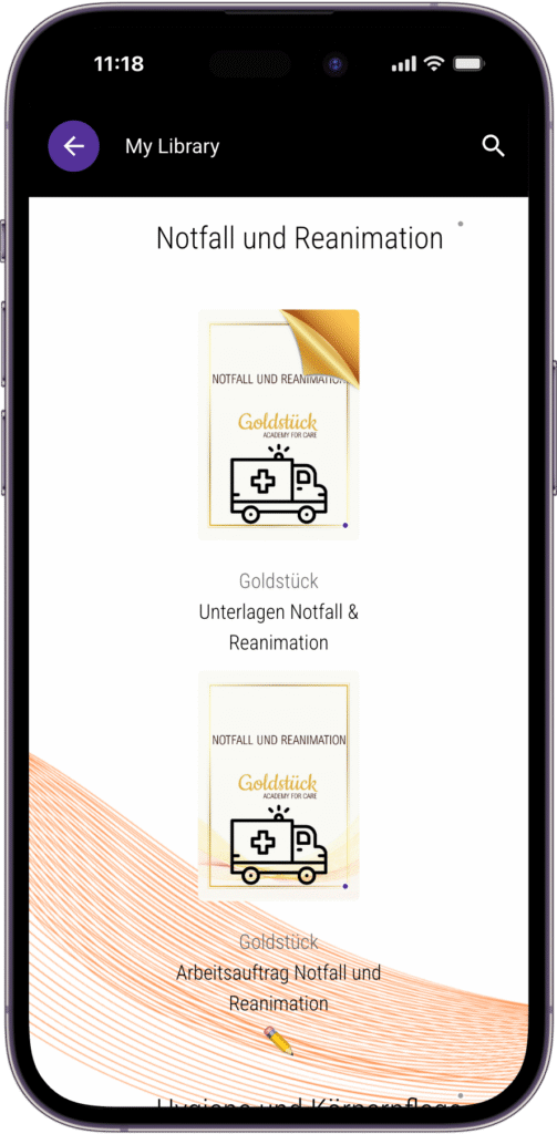 Goldstück – Scaling Nursing Education in the Digital Age